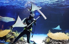 새해 맞아 깨끗하게