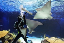 새해 맞아 깨끗하게