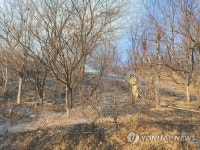 강릉 성산면서 산불…30여 분 만에 큰 불길 잡아