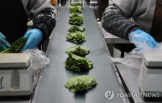 스마트해지는 농산물 유통…온라인 거래소도 연다