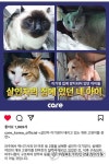 이기영 체포후 방치됐던 반려동물 입양 완료
