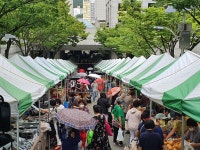 [경남소식] 설맞이 부산서 직거래장터 운영…12·19일 열려