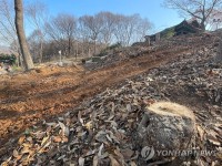 전주 오목대숲 벌목