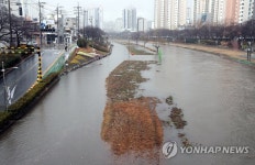 부산에 많은 비, 물에 잠긴 온천천 시민공원
