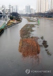부산에 많은 비, 물에 잠긴 온천천 시민공원