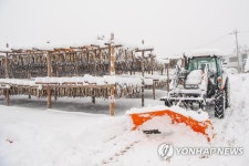 황태덕장 제설작업
