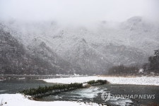 정선 동강 가수리 섶다리의 겨울