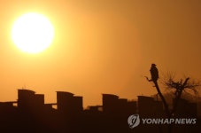 이글이글