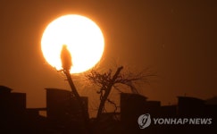 이글이글