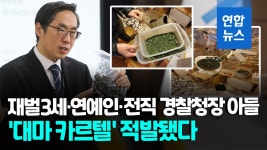 [영상] 태교여행서도 못 끊은 대마…유학파로 얽힌 '대마 카르텔' 적발