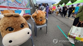 야구 도시 횡성 공근면에서 즐기는 소맥축제 9월 개최
