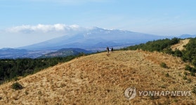 백약이 오름 찾은 탐방객