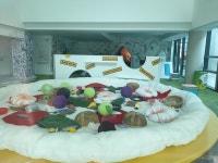 애써 지어놓고 1년째 무용지물…영동 레인보우관광지 힐링센터