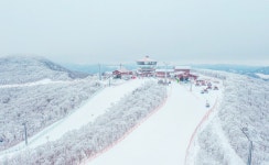 하이원리조트, 국가대표와 함께하는 스키 교실 연다
