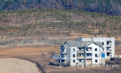 민둥산 벗어나기 위해 심어진 묘목들