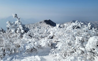 설악산 설경 장관
