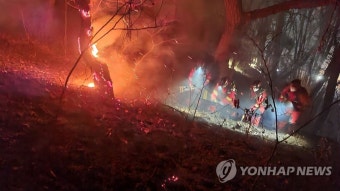경북 안동 산불, 진화 완료