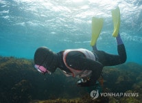 97년생 25살 제주 막내 해녀…문화유산 명맥 잇는다