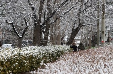 봄에 만난 겨울