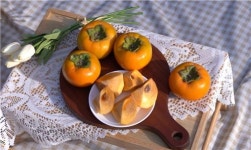 [다시 뛰는 경남농업] ① 창원단감 국내 1위 우뚝…세계화 도전