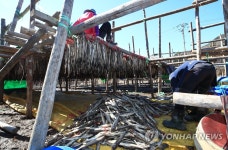 황태마을 황태 작업