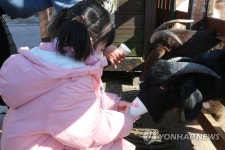 염소 밥 주는 어린이