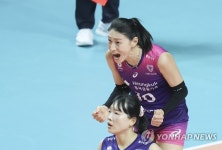 김연경 해보자!