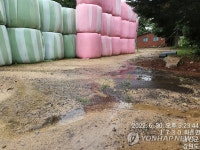 마을까지 쓸려 내려온 염소 똥