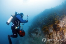 천연보호구역 제주 문섬·범섬 레저활동 다시 가능해져