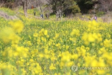 서귀포 엉덩물 계곡의 봄