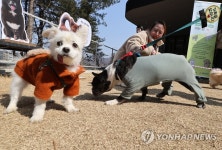 오늘은 보호소 동물들 봄소풍 가는 날