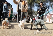 오늘은 보호소 동물들 봄소풍 날
