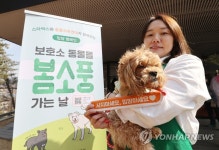 스타벅스-동물자유연대 보호소 동물들 봄소풍 가는 날