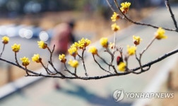 봄 오다