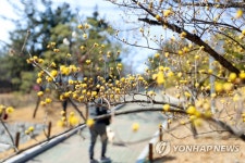 봄 오다