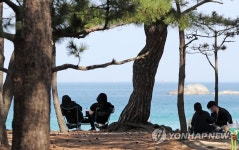 솔숲 그늘에서 바라보는 경포 바다