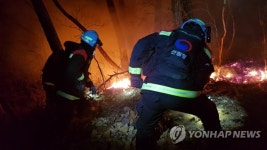 경북 안동 산불발생… 1시간 34분만에 주불진화 완료