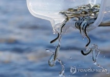 낙동강 지류 밀양강에 새끼 연어 30만마리 방류