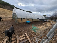 20년간 축산 폐수 피해 시골 주민 호소…경찰, 조사 착수