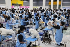 애견미용사들의 경연