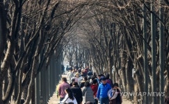 봄날의 산책