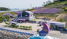 보랏빛 물든 퍼플섬 등 찾아가고 싶은 봄섬 5곳