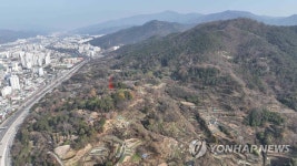 양산 다방동 패총 전경