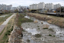 가뭄에 바닥 드러난 광주천