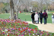 봄꽃으로 물든 순천만국가정원