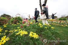 꿈길 사이로