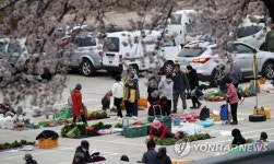 봄기운 가득한 농산물 새벽시장