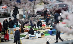 활짝 핀 벚꽃과 농산물 새벽시장