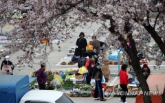 농산물 새벽시장의 봄