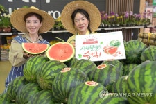 농협 하나로마트, 함안 봄 수박 첫 출하